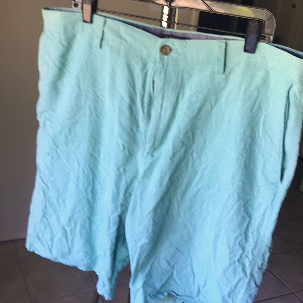 Sea foam green/blue Banana Republic linen shorts